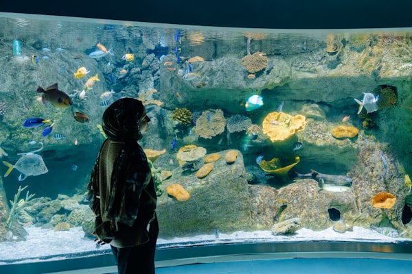 Photo by Jannet Serhan on Unsplash — representative image for SEA LIFE Minnesota Aquarium