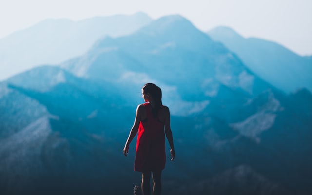 Photo by Getty Images on Unsplash — representative image for Jasper Johns Art for Adults