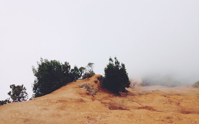 Photo by Ahmet Kurt on Unsplash — representative image for Art Club with Miss Wendy