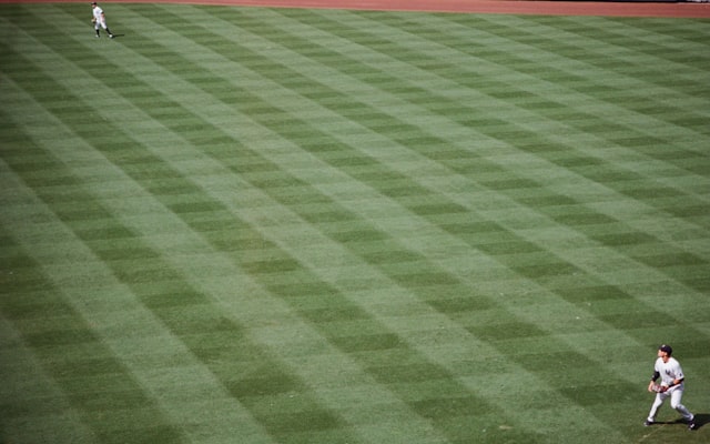 Photo by Bart Jaillet on Unsplash — representative image for Fayetteville Woodpeckers at Wilson Warbirds