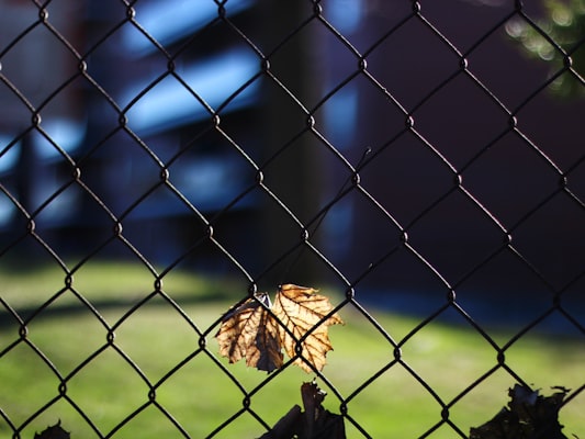 Photo by Matt Dodd on Unsplash — representative image for The Ballpark at America First Square