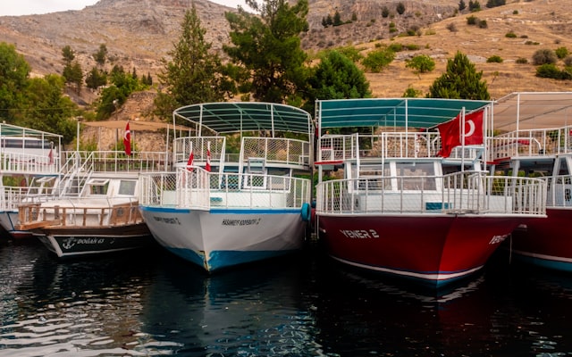 Photo by Aysegul Aytoren on Unsplash — representative image for Alaska Cruise Transportation - ACT Big Bus