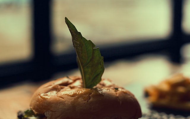 Photo by Yogesh Rahamatkar on Unsplash — representative image for Boise Smash