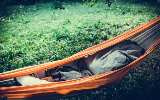 Photo by Bernard Hermant on Unsplash — representative image for Camp Roberts Rest Area