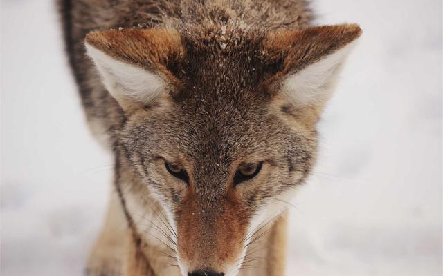 Photo by Khanh Nguyen on Unsplash — representative image for P.F. Chang's To-Go