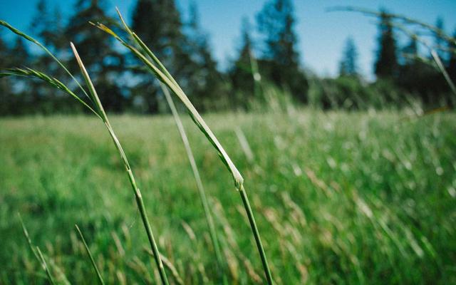 Photo by Khanh Nguyen on Unsplash — representative image for Dynasty Chinese Restaurant