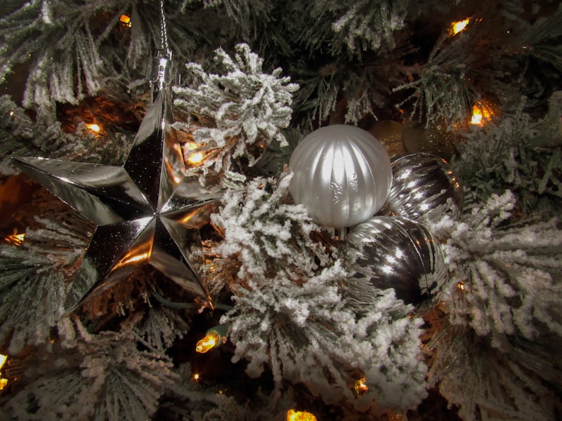 Photo by Norval Glover on Unsplash — representative image for Christmas in July Market