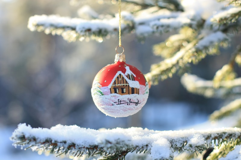 Photo by Elin Melaas on Unsplash — representative image for Christmas in July