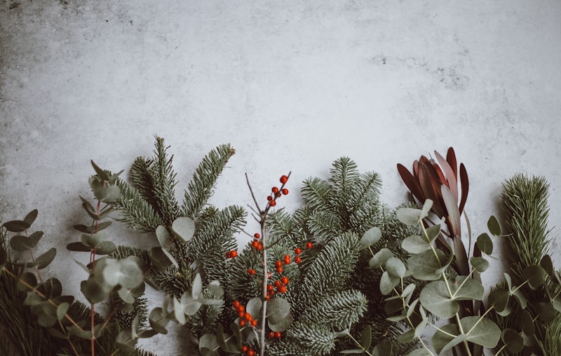 Photo by Annie Spratt on Unsplash — representative image for The True Star - Hometown Christmas Parade