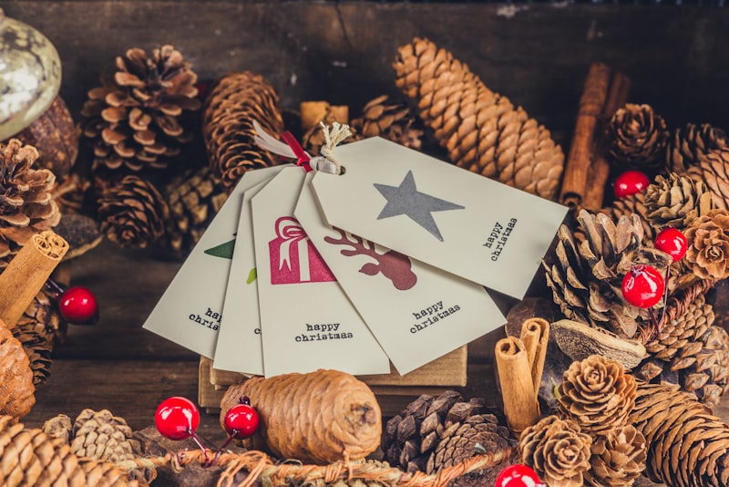 Photo by Jez Timms on Unsplash β representative image for Christmas Tree Haven