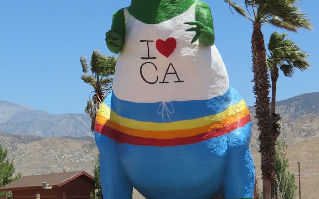 Photo by Chris Long on Unsplash — representative image for Dino Photocards