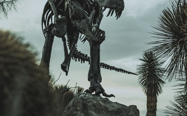 Photo by Mac Cervantes on Unsplash — representative image for TOMMY TERRIFIC PRESENTS A MAGICAL DINOSAUR DIG