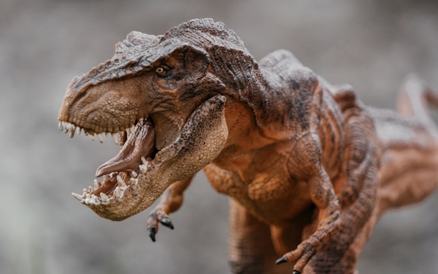 Photo by Elly Enn on Unsplash — representative image for Geology Rocks!