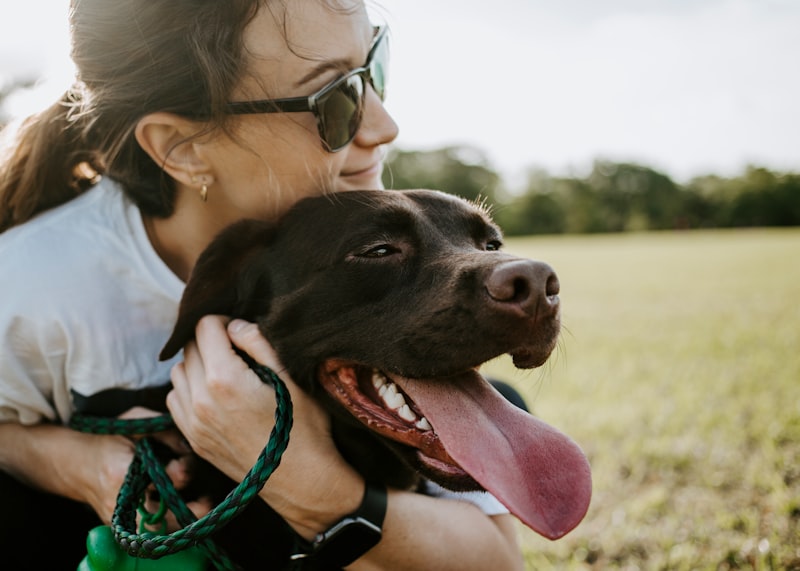 Photo by Wade Austin Ellis on Unsplash — representative image for Whittier Dog Park