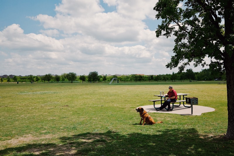 Photo by Fujiphilm on Unsplash — representative image for Dog Park