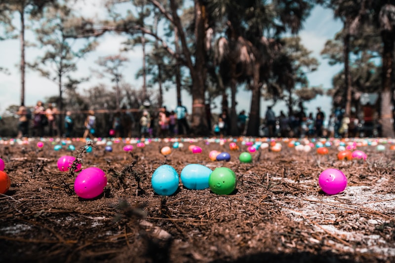 Photo by Jason Jarrach on Unsplash β representative image for For What Purpose Easter Drama