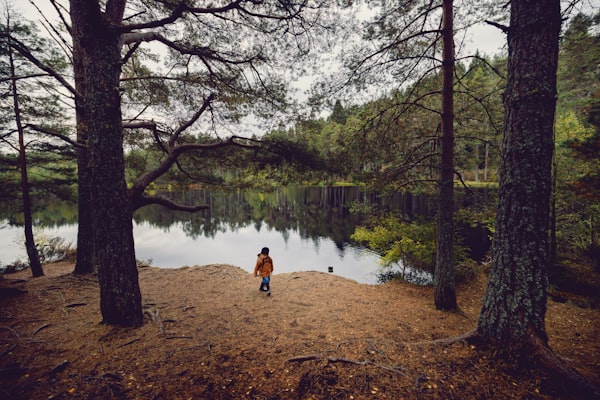 Photo by Robert Bye on Unsplash — representative image for Sensory Friendly Storytime