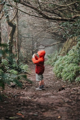 Photo by 雙 film on Unsplash — representative image for Adobe Photoshop Series