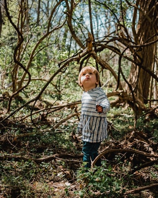 Photo by Kyle Nieber on Unsplash — representative image for Createch