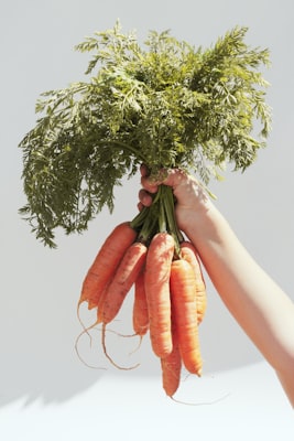 Photo by Zhen Yao on Unsplash — representative image for Clark Park Farmers' Market