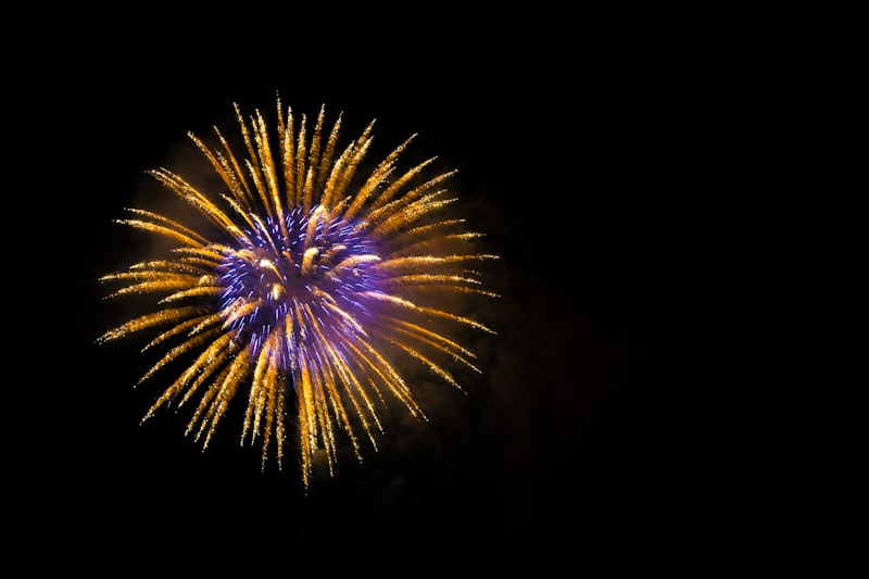 Photo by David Karimzadeh on Unsplash — representative image for K & J Fireworks