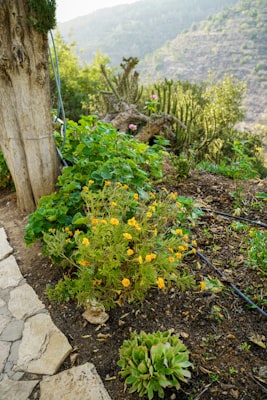 Photo by Arturo Añez on Unsplash — representative image for Downtown Disney & Anaheim Garden Walk shopping center.