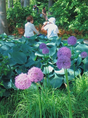 Photo by Charlotte Cowell on Unsplash — representative image for Cheekwood Gardens & Fine Arts