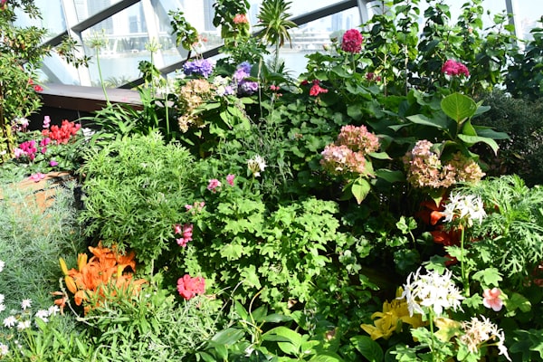 Photo by Mert Ceyhan on Unsplash — representative image for Teen Crafternoon: Painted Garden Rocks