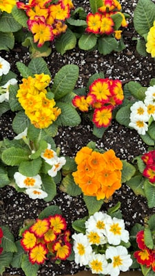 Photo by Agostina Prigioni on Unsplash — representative image for Ask a Master Gardener @ Sunset Library