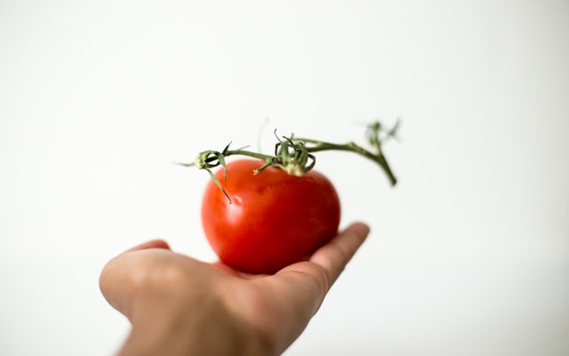 Photo by Leilani Angel on Unsplash — representative image for Visit the Garden!