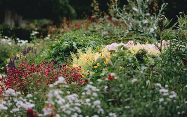 Photo by Annie Spratt on Unsplash — representative image for Children’s Day