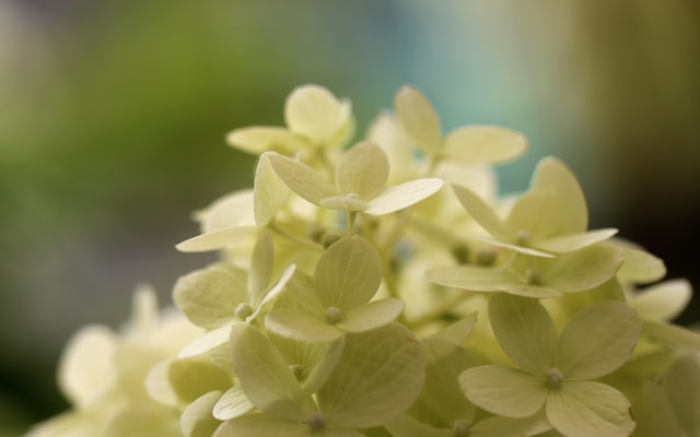 Photo by Sandy Millar on Unsplash — representative image for Collins Garden Branch Library