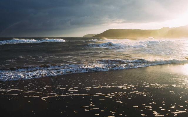 Photo by Annie Spratt on Unsplash — representative image for Genealogy Detectives