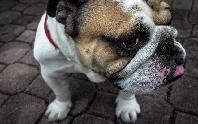 Photo by Annie Spratt on Unsplash — representative image for Genealogy 101