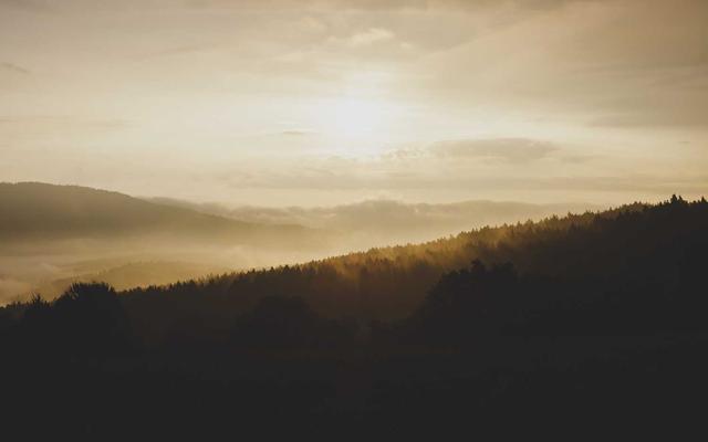 Photo by Fylkesarkivet i Vestland on Unsplash — representative image for Genealogy Help Desk