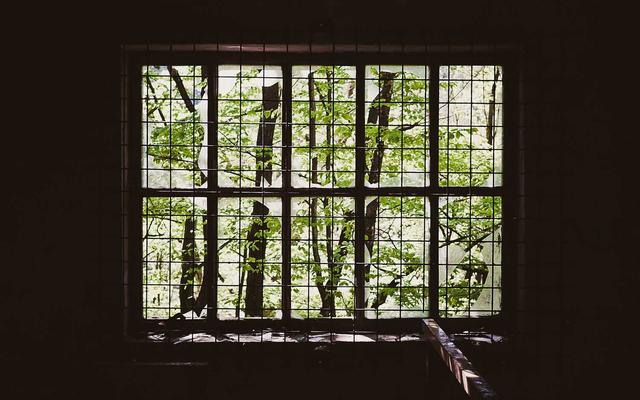 Photo by Fylkesarkivet i Vestland on Unsplash — representative image for Genealogy Friends Saturday Seminar