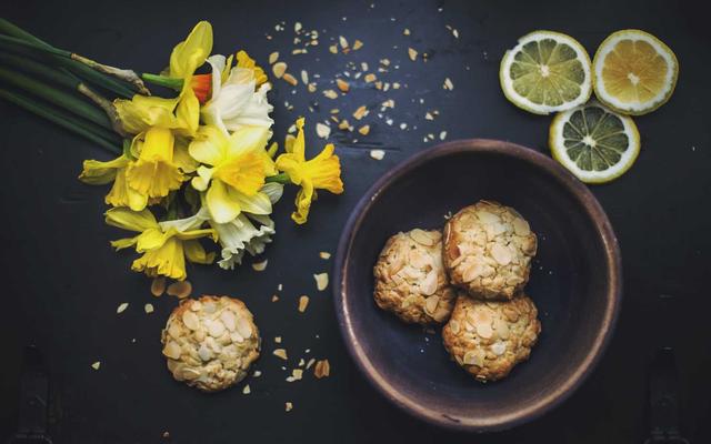 Photo by Annie Spratt on Unsplash — representative image for The Genealogical Society of Washington County