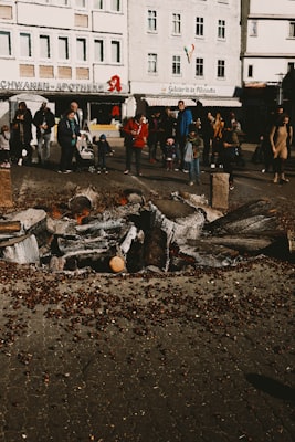 Photo by Ries Bosch on Unsplash — representative image for Quartyard Dog Park