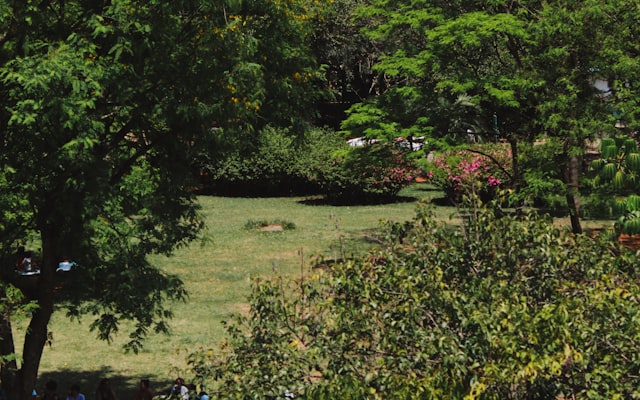 Photo by Ana Beatriz Santos on Unsplash — representative image for Bluefire Grille