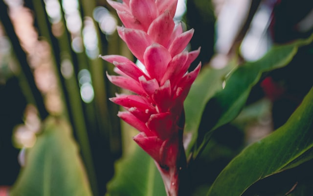 Photo by Ahmed on Unsplash — representative image for Waco Disc Golf at Brazos Park