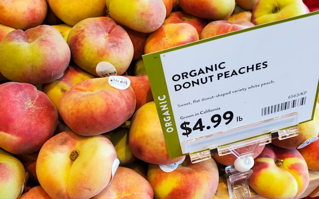 Photo by Zoshua Colah on Unsplash — representative image for Sri Lankan Delight