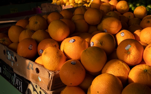 Photo by Izaac Crayton on Unsplash — representative image for Harps Food Stores - Bull Shoals, AR (Harps Food Stores)