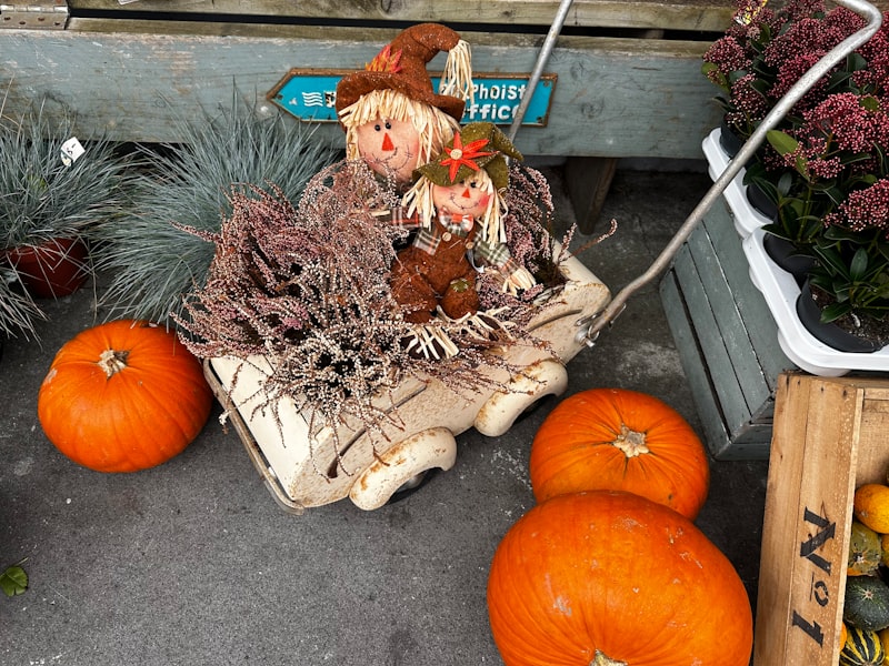 Photo by Ripa Mehrab on Unsplash — representative image for Village Halloween Parade