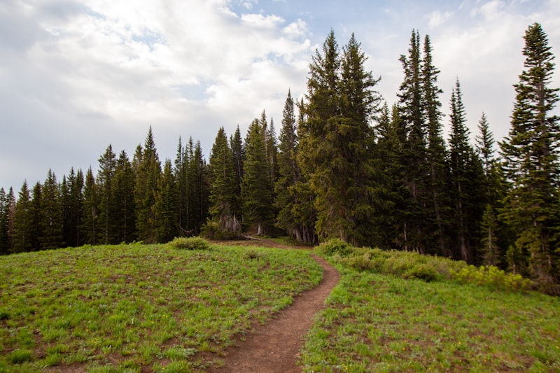 Photo by Backroad Packers on Unsplash — representative image for Rocky Mountain Repertory Theatre