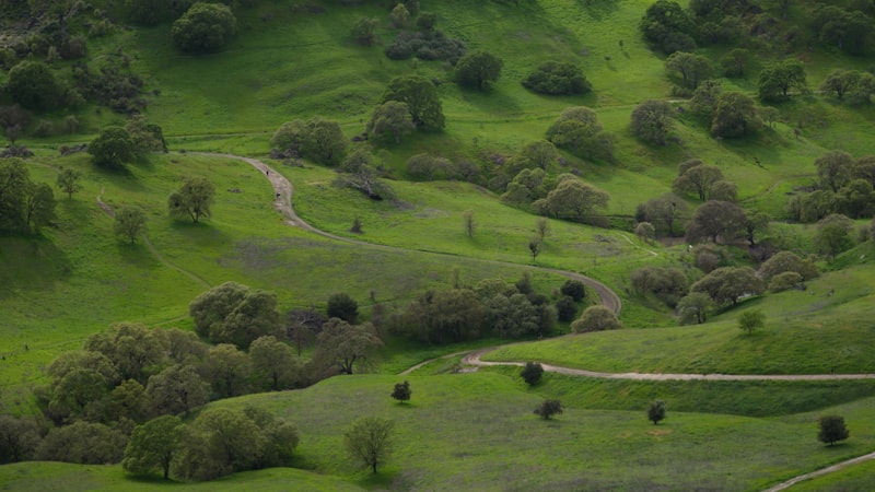 Photo by Dorsa Fathollahi on Unsplash — representative image for Mountain Villa #11