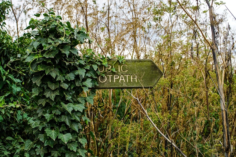 Photo by Tom Wheatley on Unsplash — representative image for Hamilton Mountain Writers’ Guild