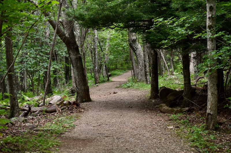 Photo by Praswin Prakashan on Unsplash — representative image for North Idaho Mountain Brew / City Limits Pub