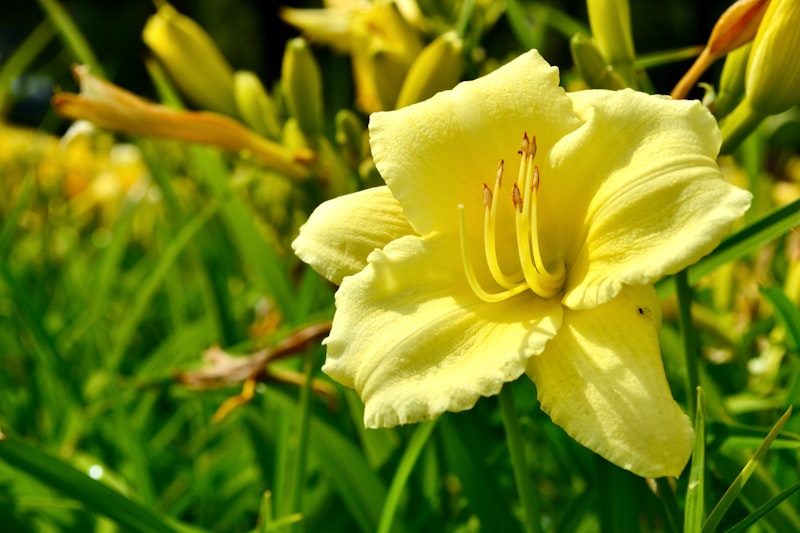 Photo by EVGEN SLAVIN on Unsplash — representative image for San Diego History Center