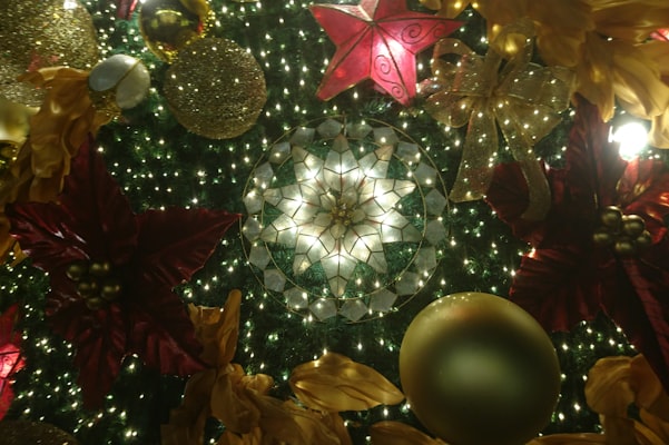 Photo by Toni Cuenca on Unsplash — representative image for Holiday Inn Express & Suites Brainerd-Baxter (Holiday Inn Express)