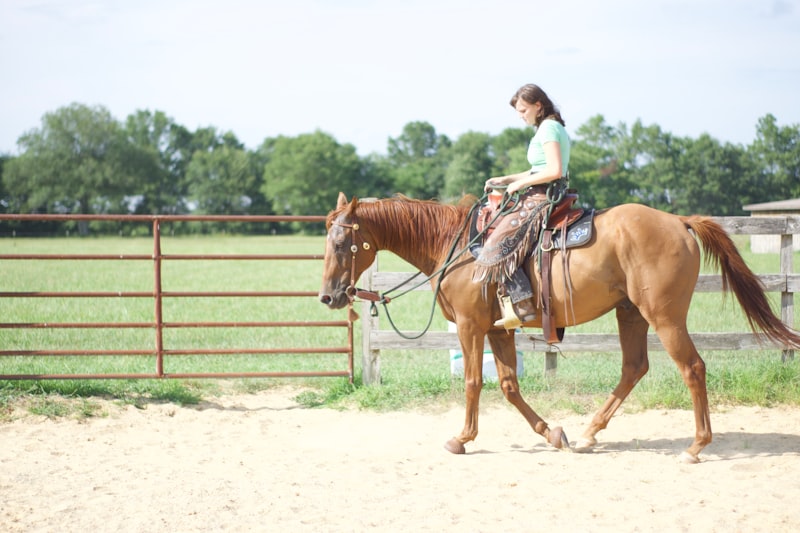 Photo by Namito Yokota on Unsplash — representative image for Golden Horse